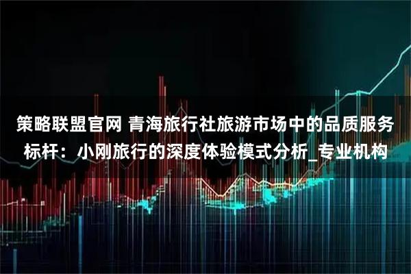 策略联盟官网 青海旅行社旅游市场中的品质服务标杆：小刚旅行的深度体验模式分析_专业机构